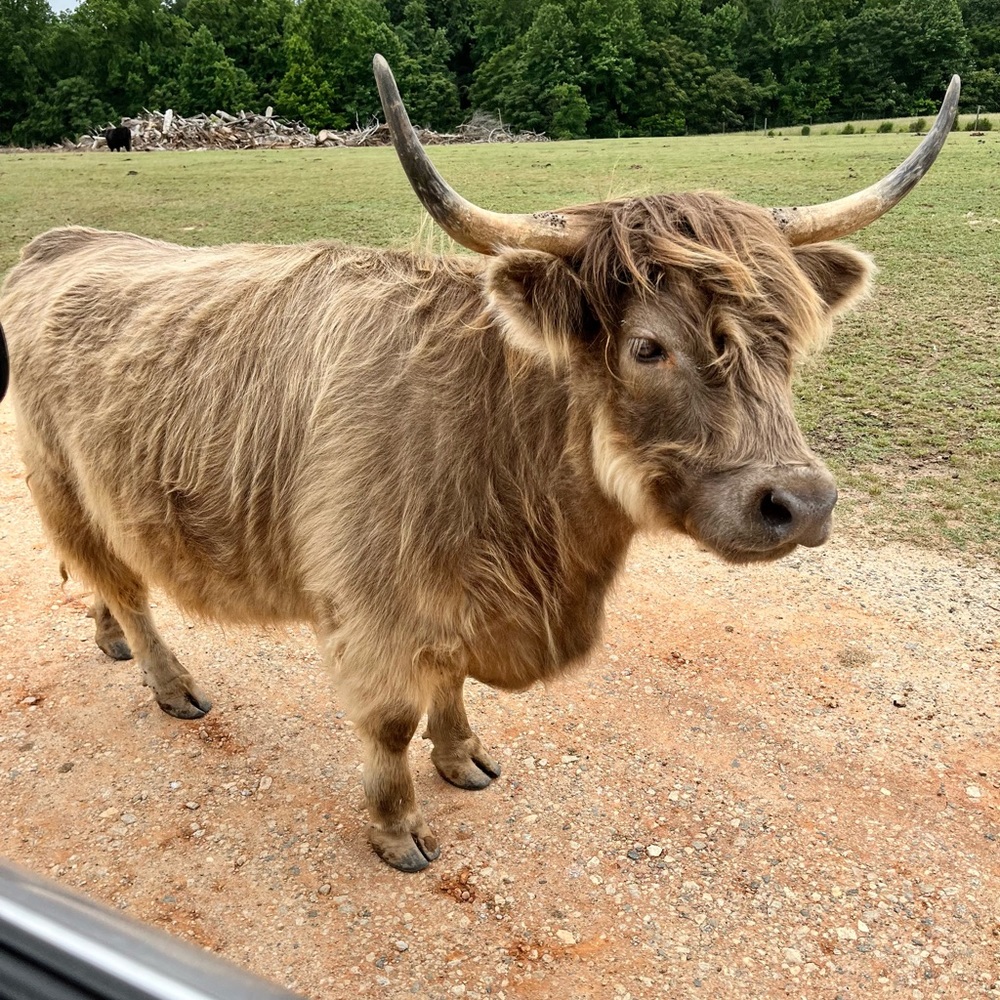 Meet your Posher, Hadley